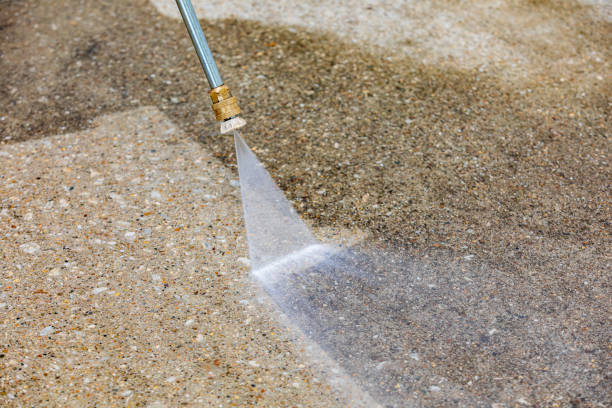 Best Sidewalk and Walkway Cleaning  in Panaca, NV