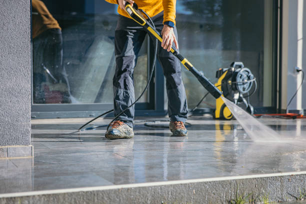 Best Patio and Deck Pressure Washing  in Panaca, NV